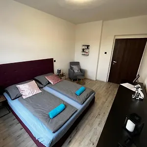 Large 3 Bedroom With Skyline View Apartmán Karlovy Vary