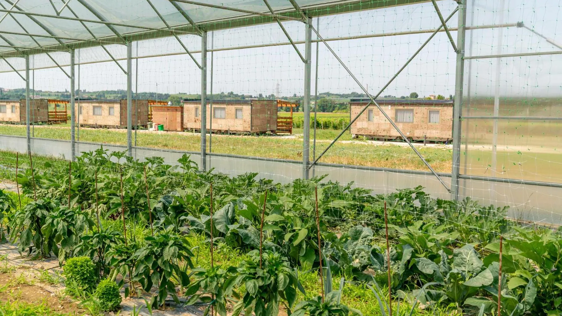 Agriturismo Dei Grippi Sona Farm stay